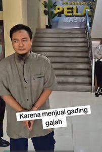 penjual-gading-gajah