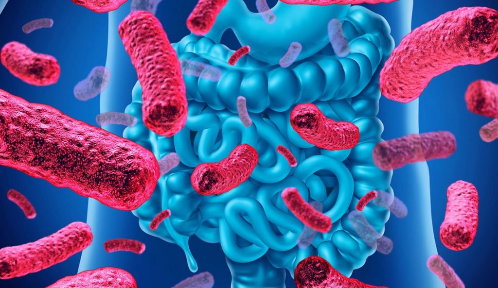 mikrobioma