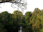 Hutan Hujan Tropis Sumatra