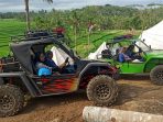 mobil mini offroad