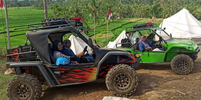 mobil mini offroad
